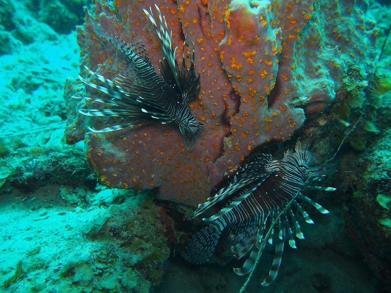 Curacao 04-12 099.JPG